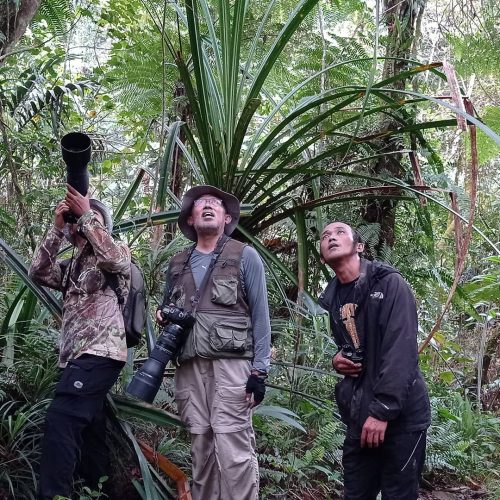 IMG_20201231_082815_804